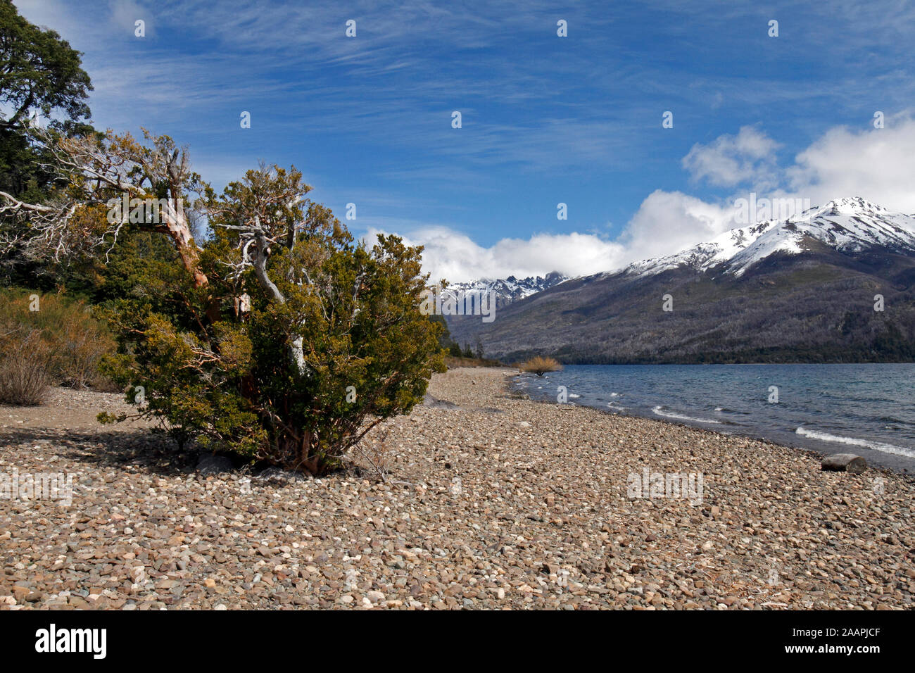 Parc national Los Alerces, près de Trevelin, Chubut, Argentine, Patagonie. Banque D'Images