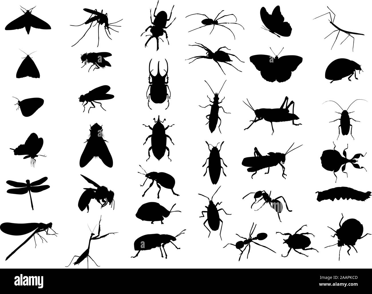 Bugs et les insectes ravageurs Silhouettes vecteur noir Illustration de Vecteur