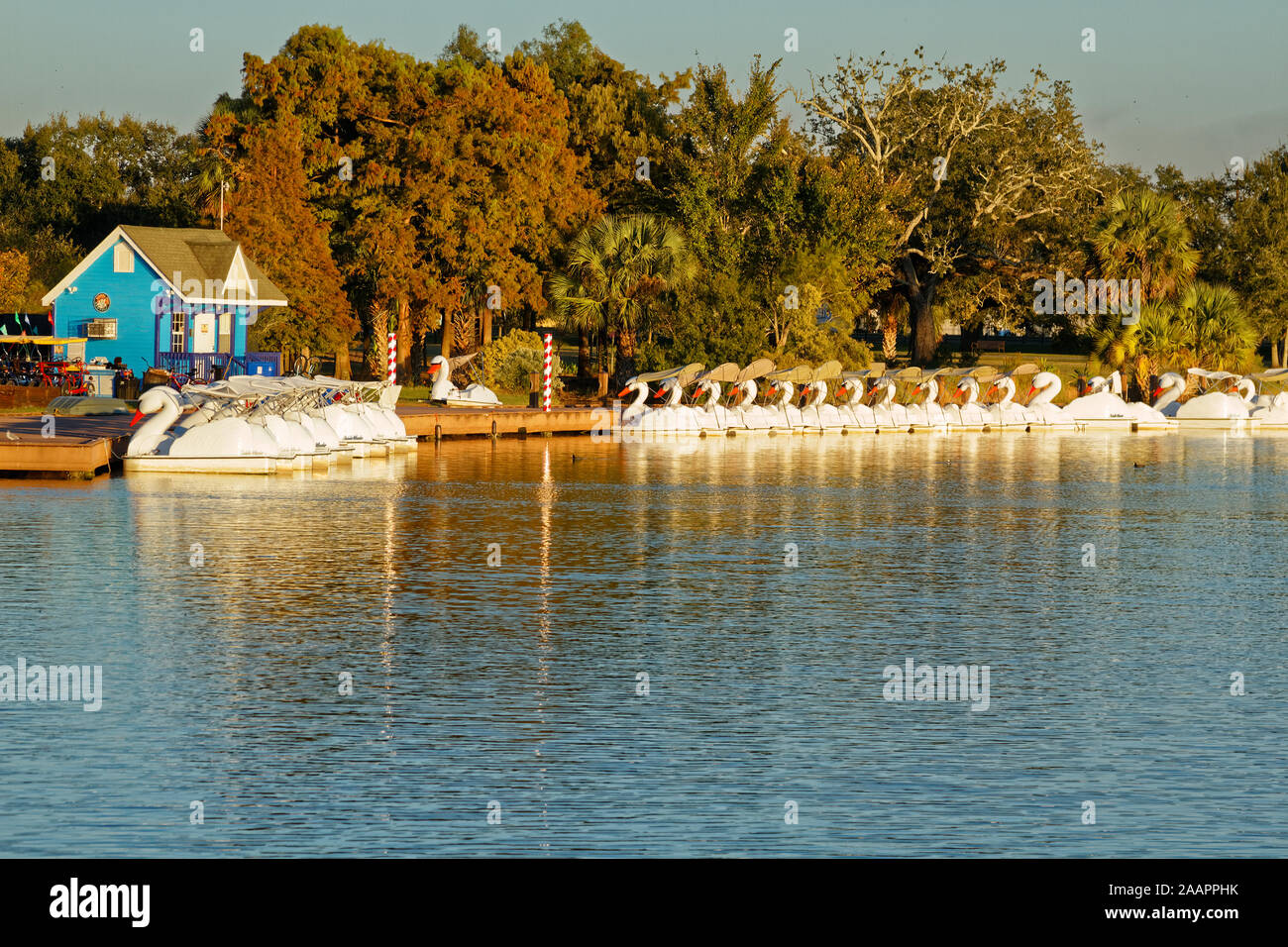 Grand Lac ; Parc de la ville ; swan boats ; roues à aubes, les loisirs, les arbres, l'eau, rive, heure d'or lumière, Nouvelle Orléans ; LA ; USA ; automne ; horizontal Banque D'Images