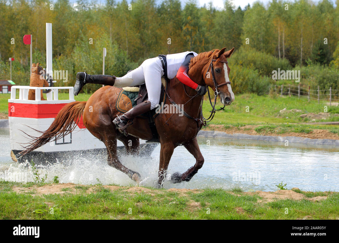 Cross country rider tombant de cheval, s'écraser sur le water jump Banque D'Images