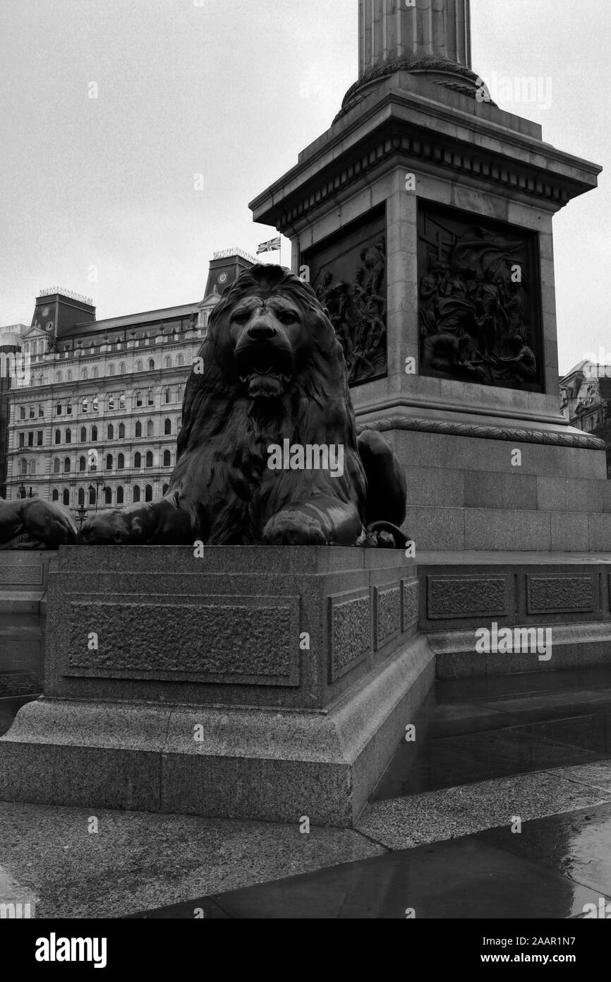 Image en noir et blanc de Trafalgar Square, City Of Westminster, London, England, UK Banque D'Images