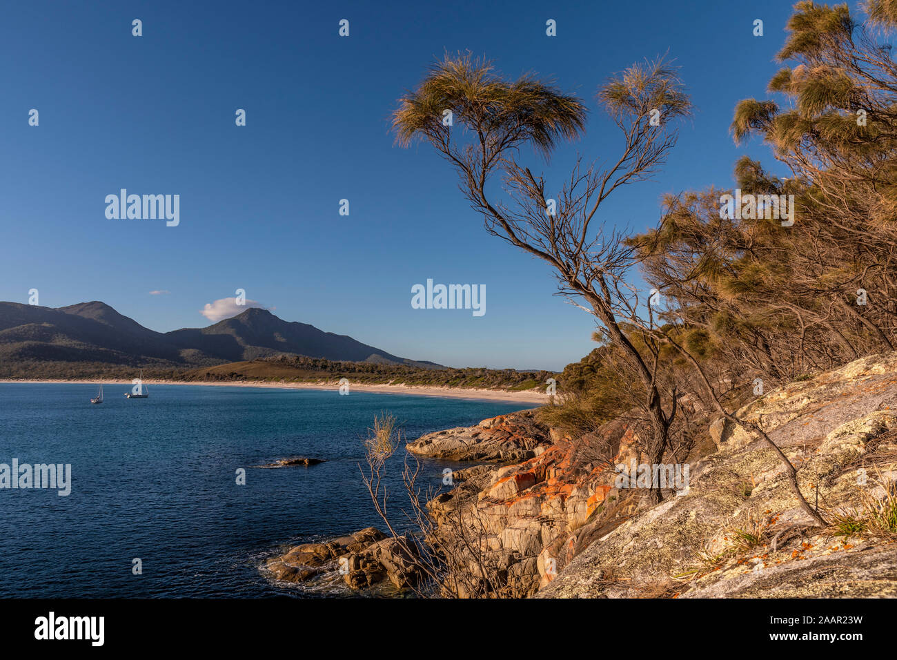 Au vue de la baie de verres à vin, parc national de Freycinet, Tasmanie Banque D'Images