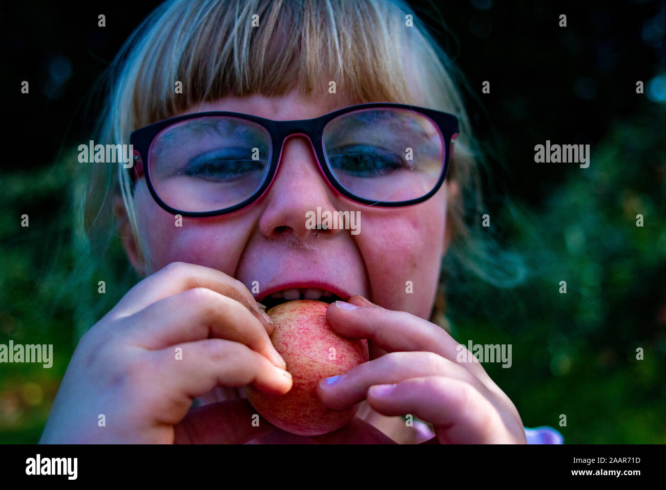 Cute little girl eating apple à la ferme. Vacances d'été à la campagne. Heureux l'enfant sur la nature. Funny kid jouit de l'extérieur au soleil. 24. Organique saine Banque D'Images