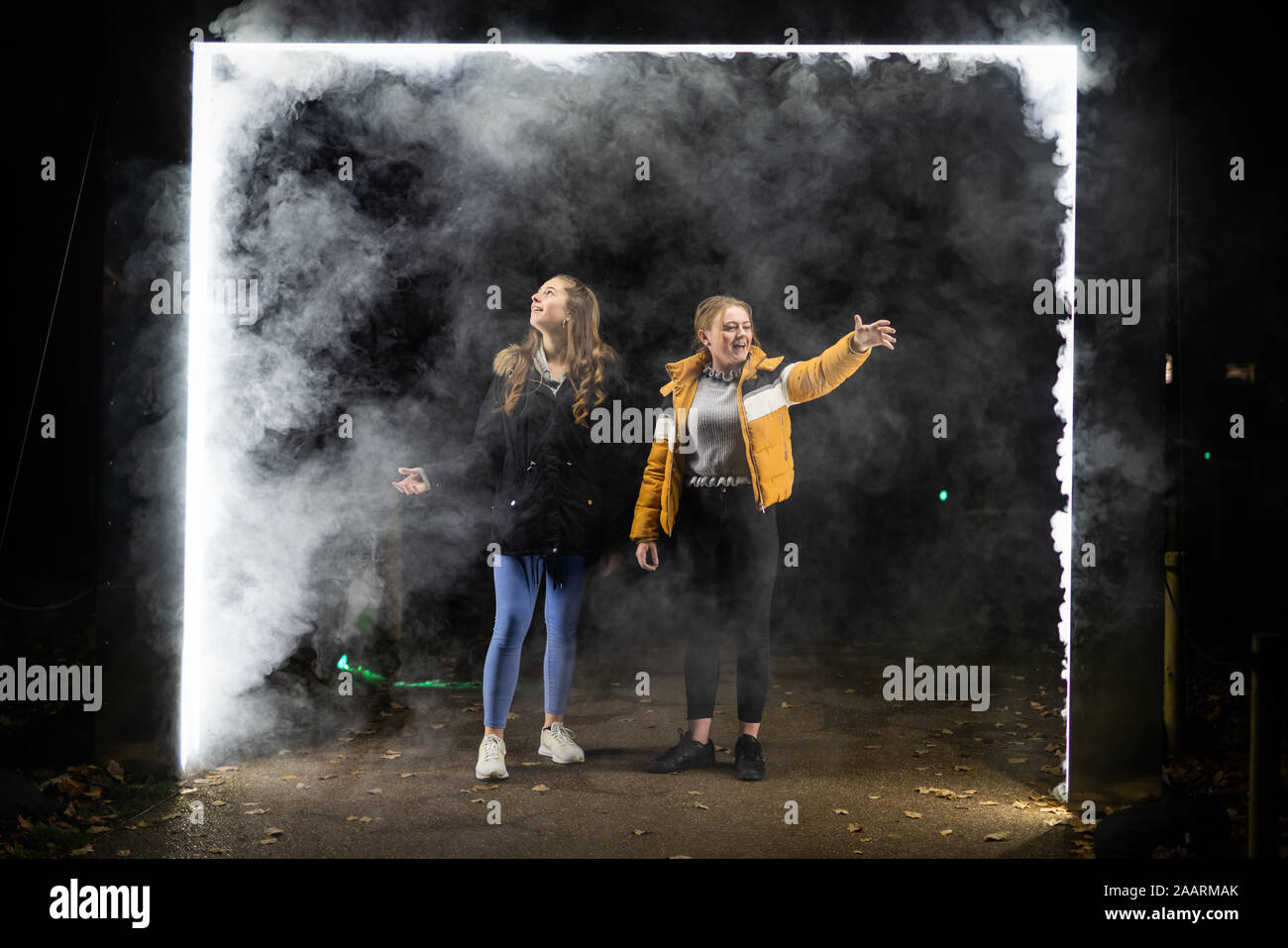 Londres, Royaume-Uni. 19 Nov 2019. Noël à Kew feux d'hiver des installations multi-sensorielle. Crédit : Guy Josse/Alamy Live News Banque D'Images