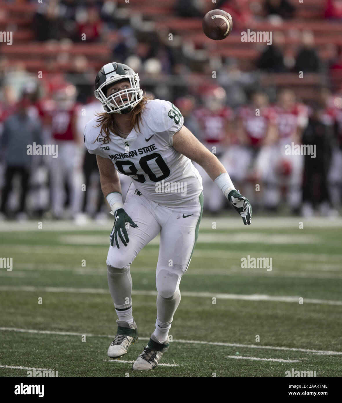 Piscataway, New Jersey, USA. 23 Nov, 2019. Michigan State's MATT SEYBER yeux le football et plus tard l'attrape pour une réception à l'action de jeu au cours de Rutgers Stadium de SHI à Piscataway, New Jersey. Mettre hors d'État du Michigan 27-0 Rutgers Crédit : Brian Branch :/ZUMA/Alamy Fil Live News Banque D'Images Piscataway, New Jersey, USA. 23 Nov, 2019. Michigan State's MATT SEYBER yeux le football et plus tard l'attrape pour une réception à l'action de jeu au cours de Rutgers Stadium de SHI à Piscataway, New Jersey. Mettre hors d'État du Michigan 27-0 Rutgers Crédit : Brian Branch :/ZUMA/Alamy Fil Live News Banque D'Images