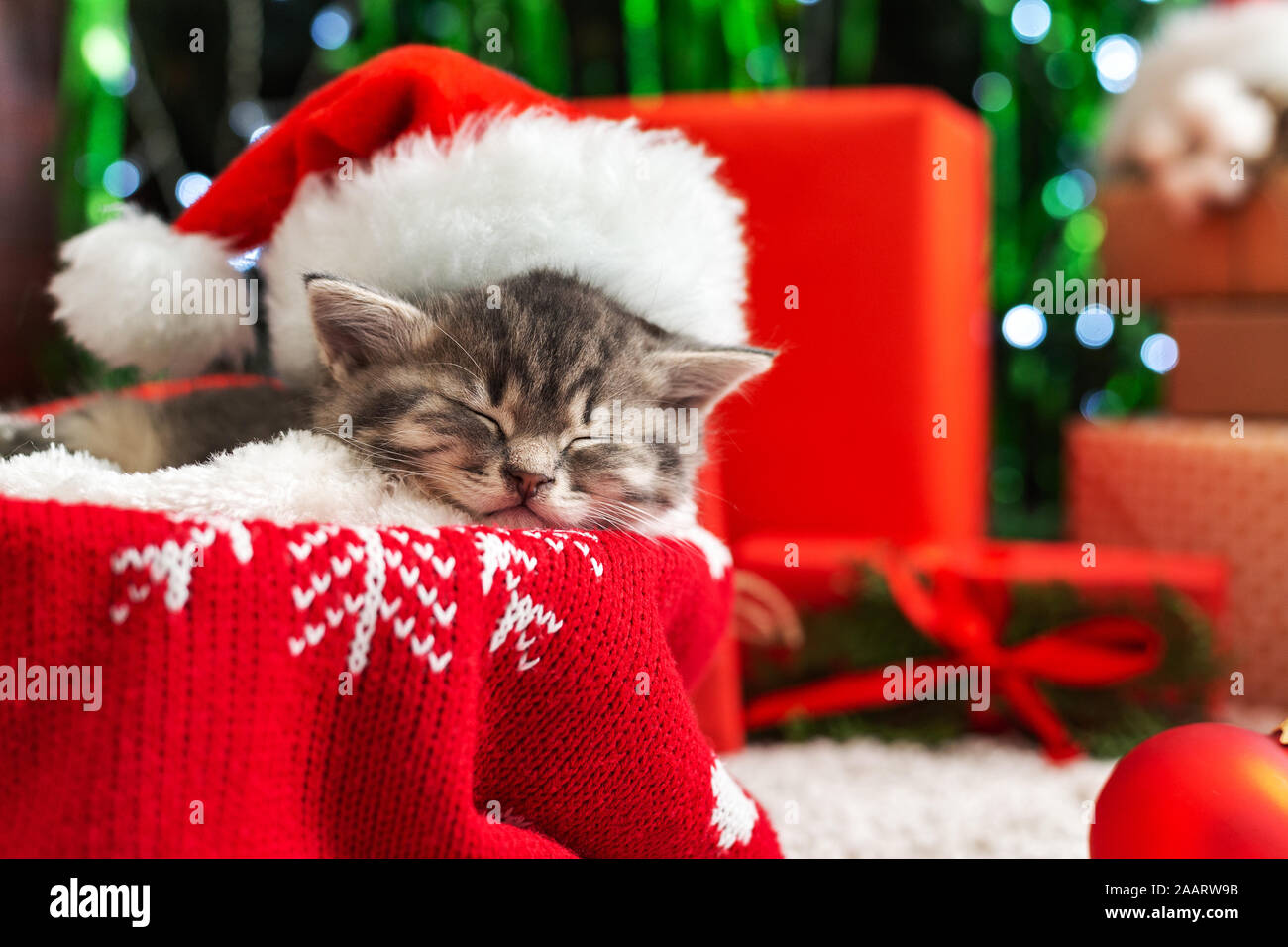 Chat De Noel Banque D Image Et Photos Alamy