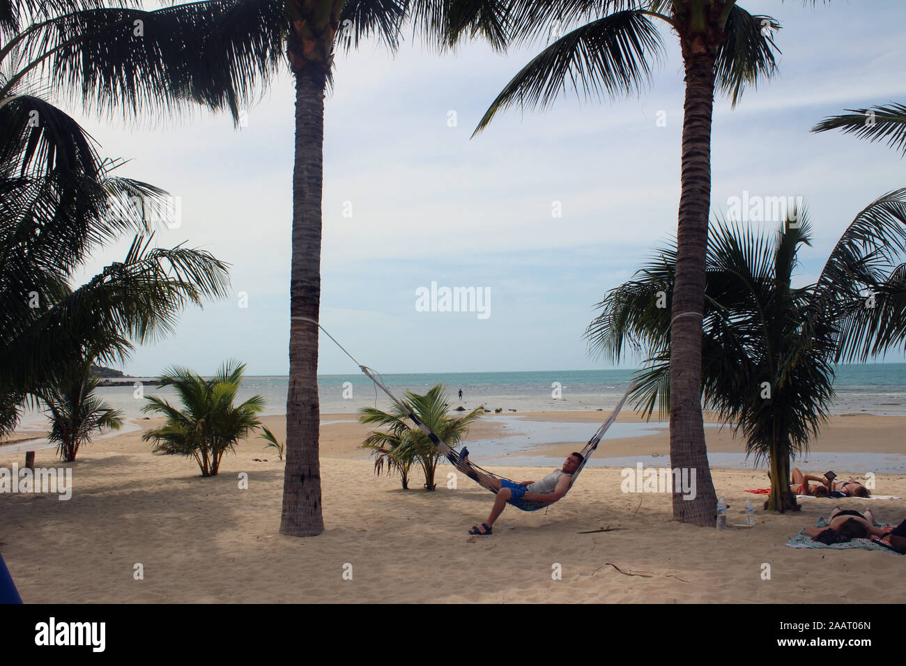 Man relaxing on Hammock on beach in Koh Samui Thaïlande Banque D'Images