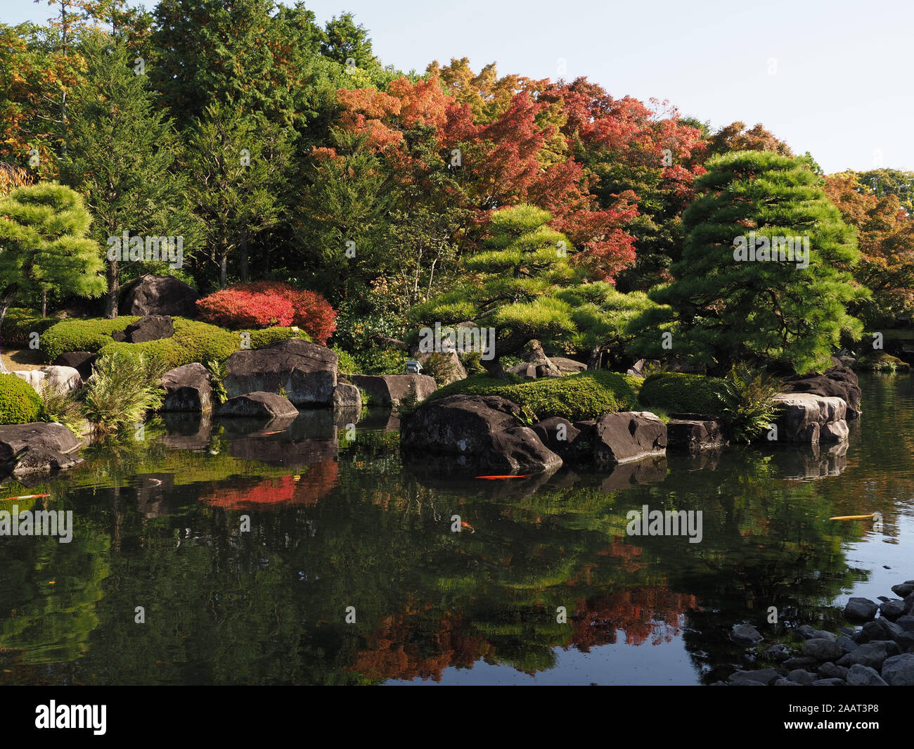 Une vue de feuillage d'automne dans le Koko-en regard de l'Himeji Castle à Himeji, préfecture de Hyogo, Japon. Banque D'Images