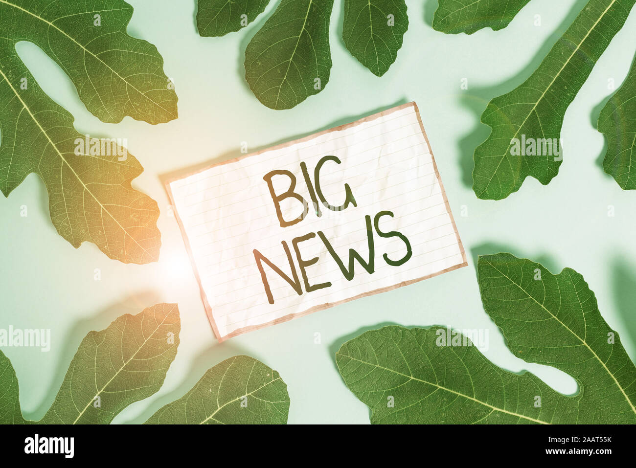 Texte de l'écriture écrit grandes nouvelles. Photo conceptuelle actions savoir personne n'en a entendu parler mais les feuilles entourant les blocs-notes journaliste téléporteur au-dessus Banque D'Images