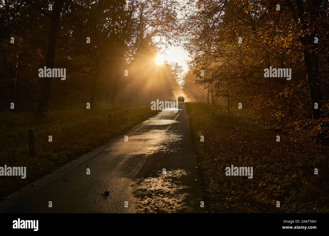 Luneburger Heide, Allemagne : Silhouette d'une voiture roulant sur une route rurale devant le coucher du soleil, heure d'or, arbres et de la nature Banque D'Images