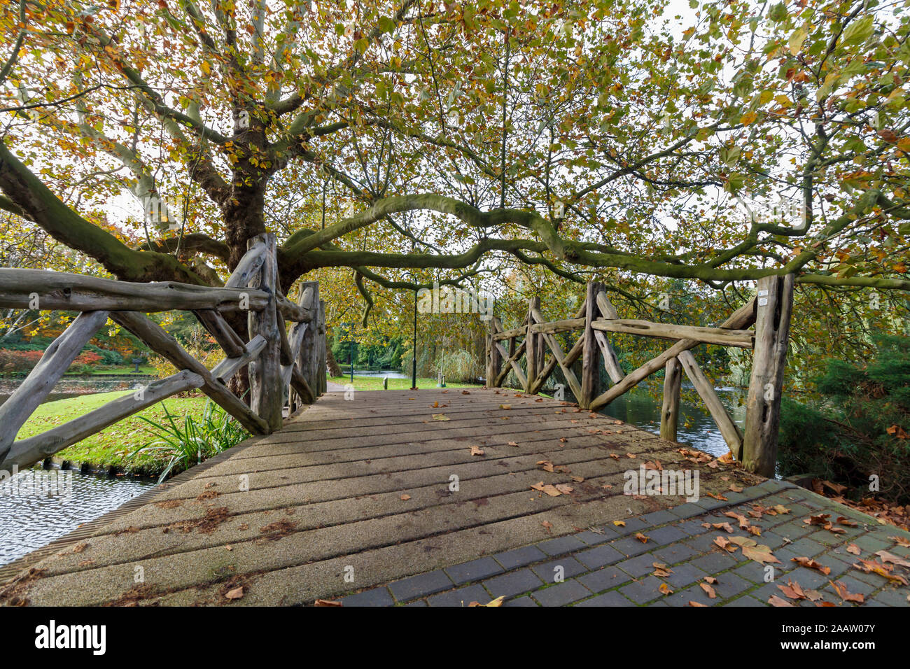 Pont en bois au-dessus de l'eau menant à un parc avec des arbres Banque D'Images