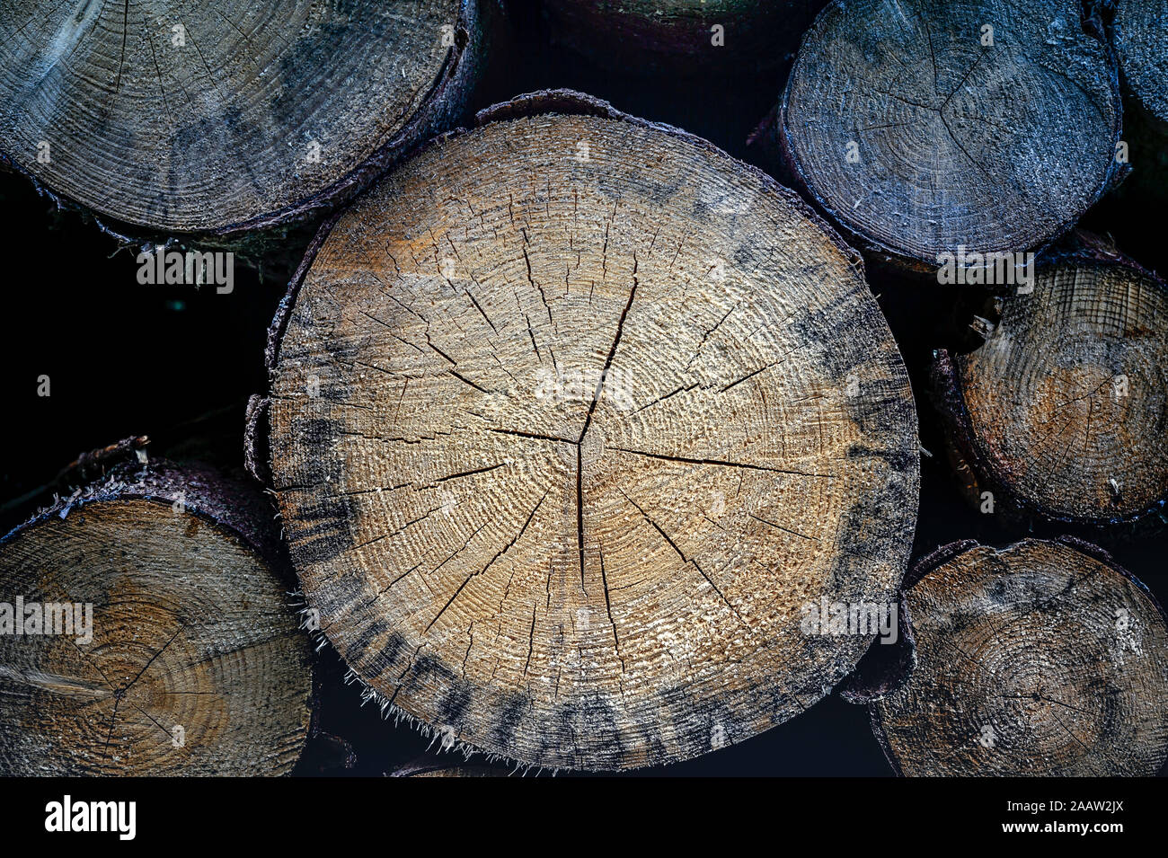 Close-up of pile de bois Banque D'Images