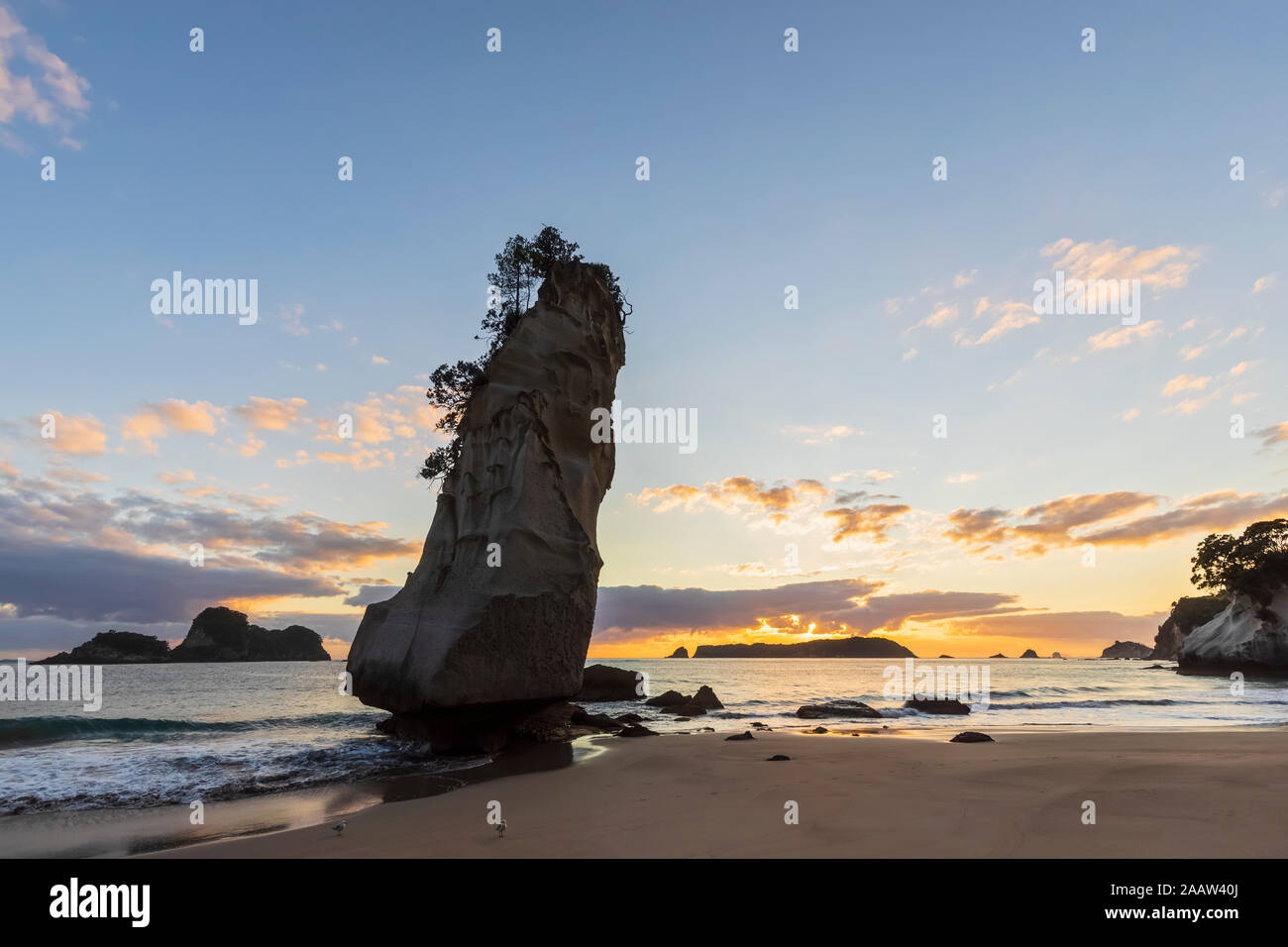 Nouvelle Zélande, île du Nord, Waikato, Te Hoho Rock au crépuscule Banque D'Images