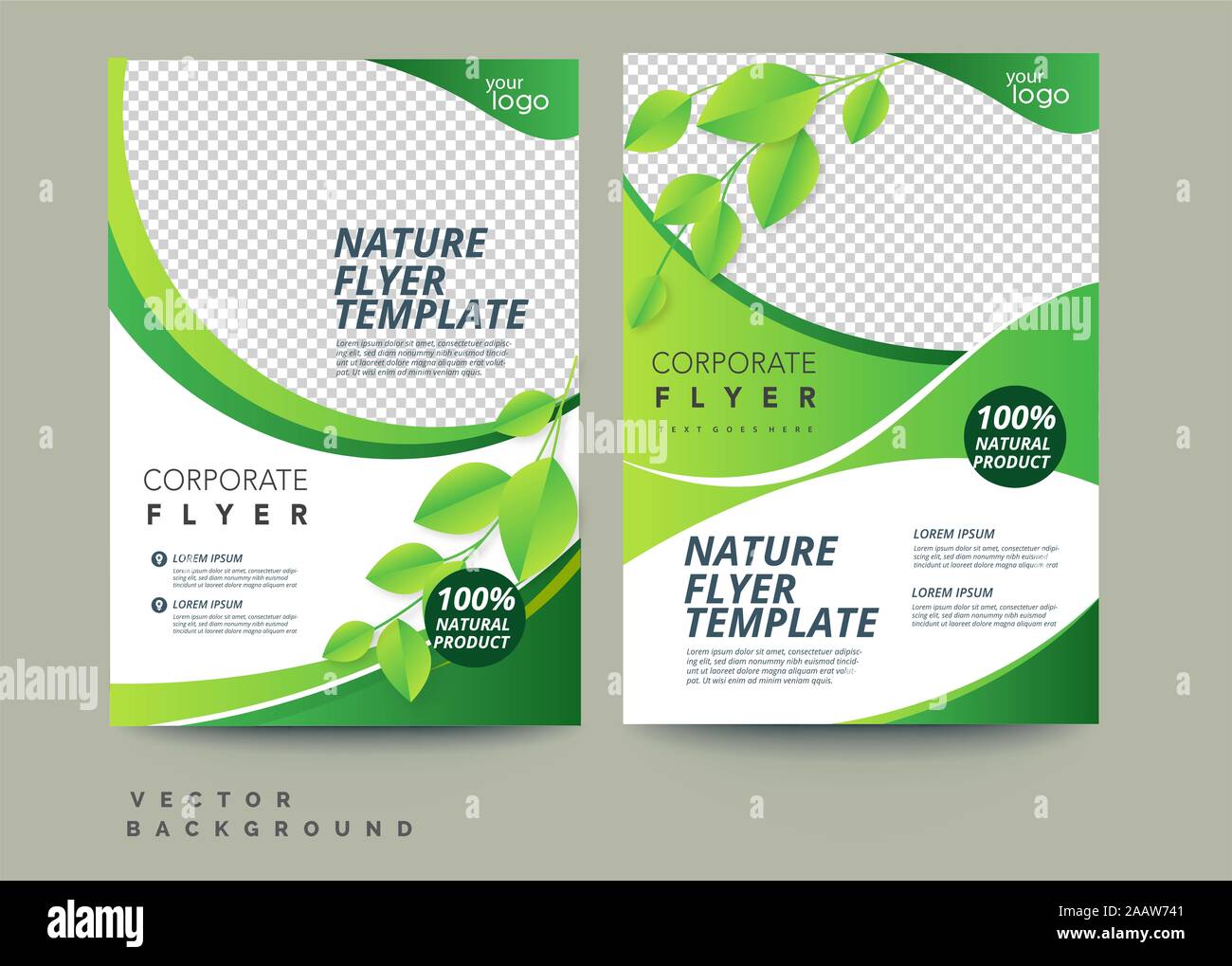 Eco vecteur flyer, affiche, brochure, modèle de couverture de magazine. Feuille verte moderne, l'environnement de conception. - Vector Banque D'Images