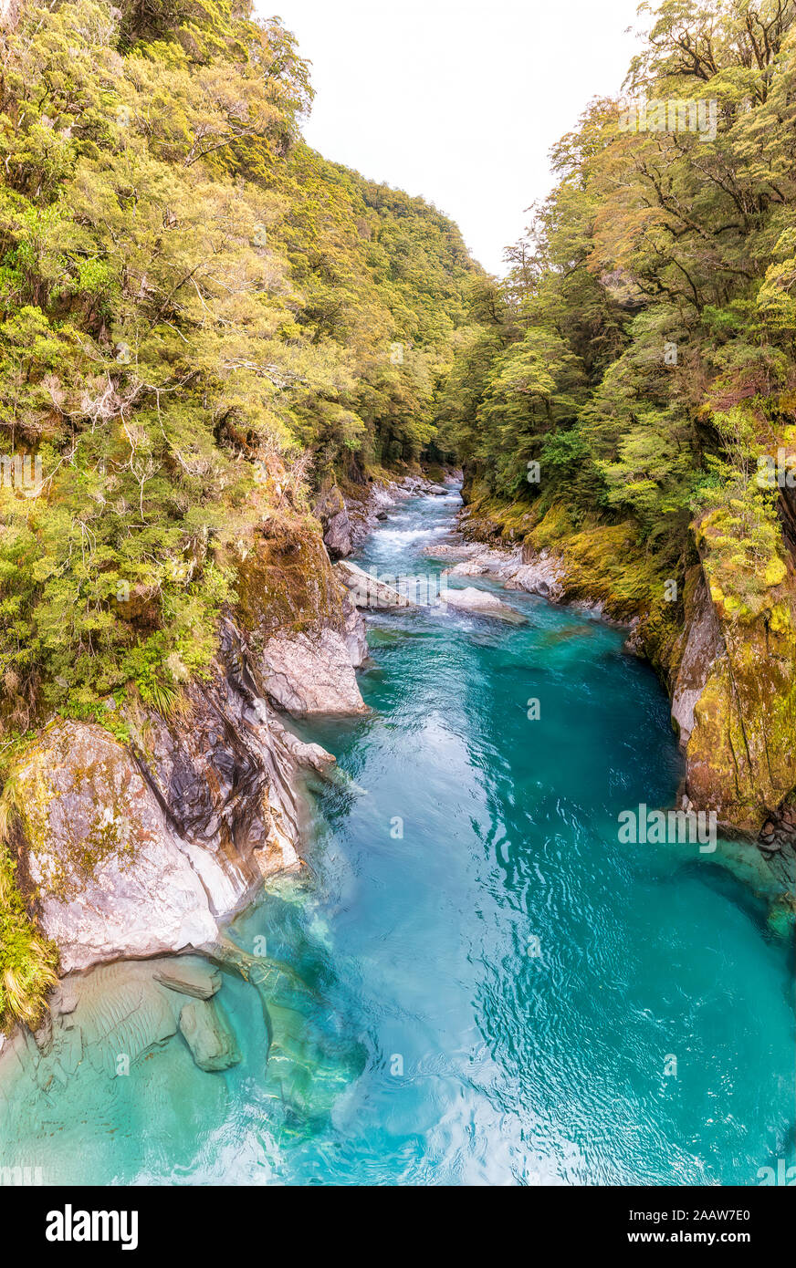 Makarora River, South Island, New Zealand Banque D'Images