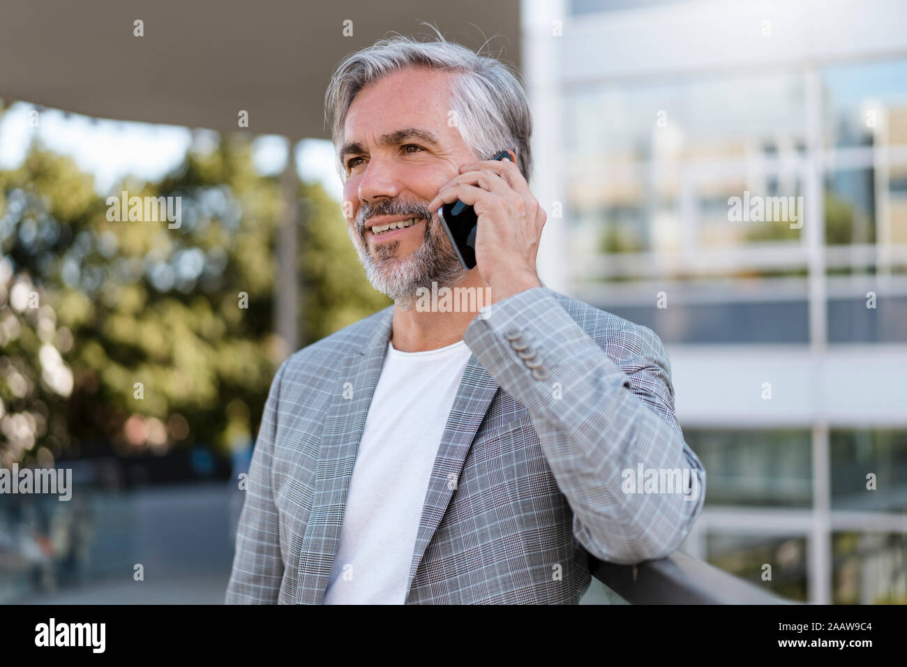 Portrait of mature businessman on the phone Banque D'Images