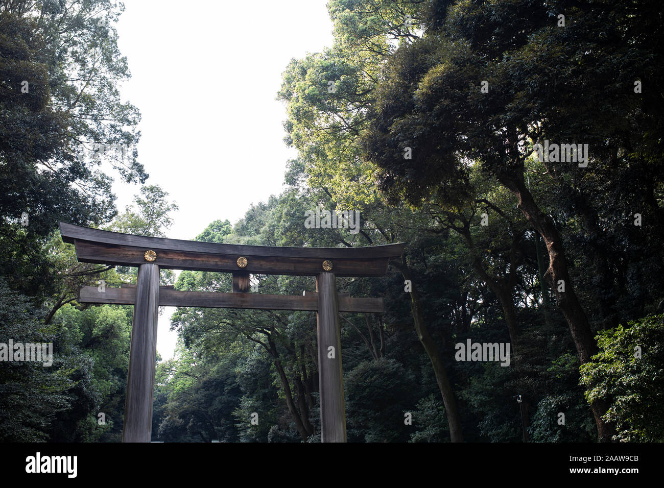 Détail d'un torii à Tokyo, Japon Banque D'Images