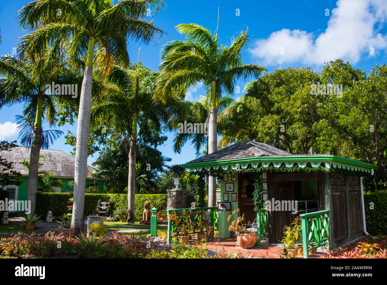 Vue sur les palmiers du jardin botanique en croissant contre ciel à Saint-Christophe et Niévès, Caraïbes Banque D'Images