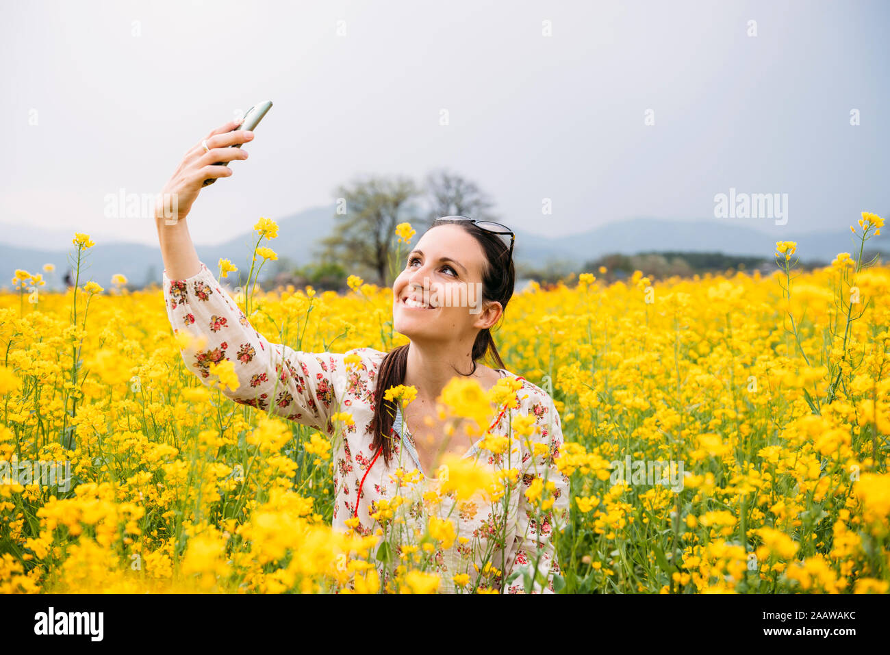 Portrait of happy woman with smartphone selfies dans un champ de colza, Gyeongju, Corée du Sud Banque D'Images