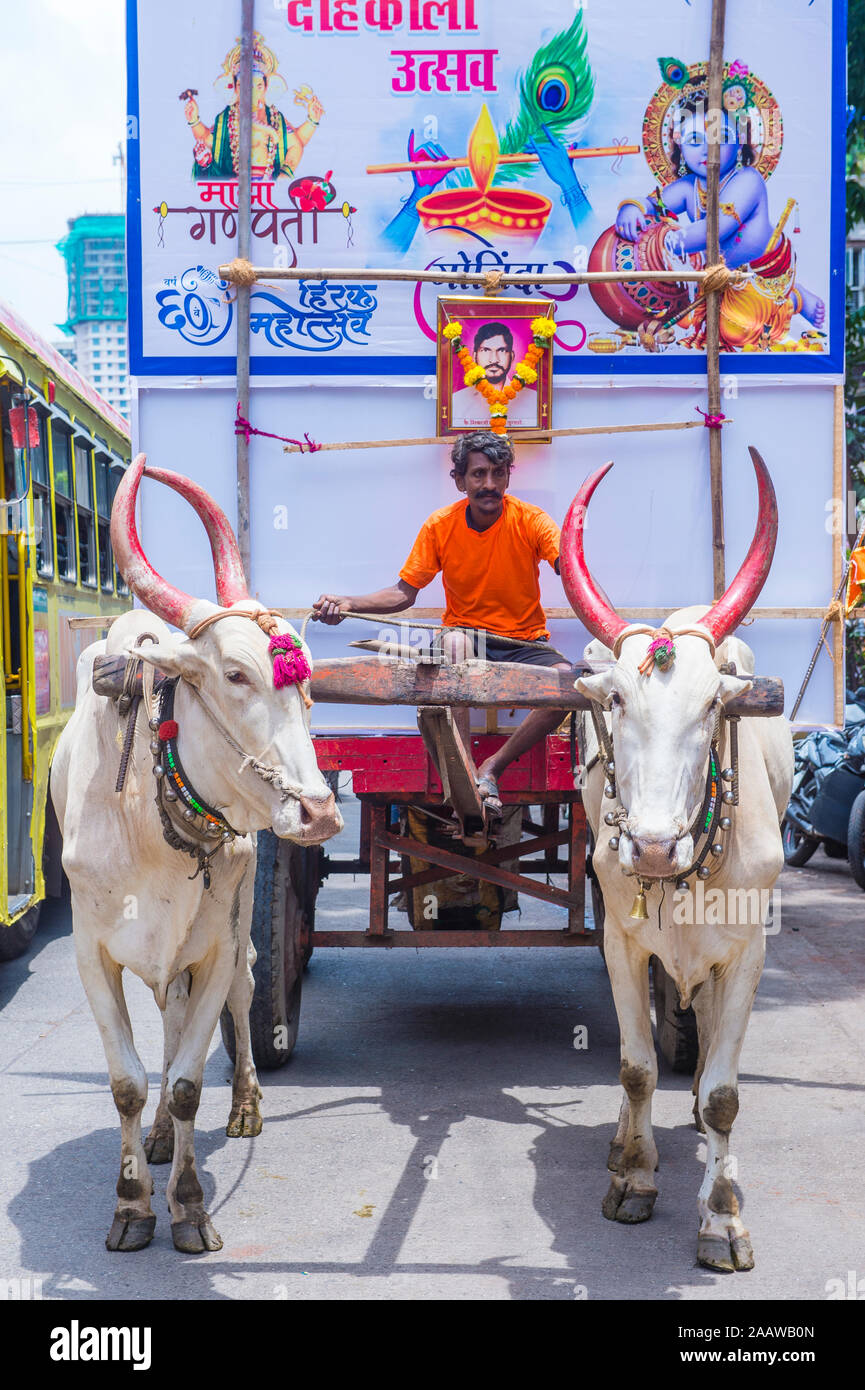 L'homme indien participe au festival Janmashtami à Mumbai, en Inde Banque D'Images