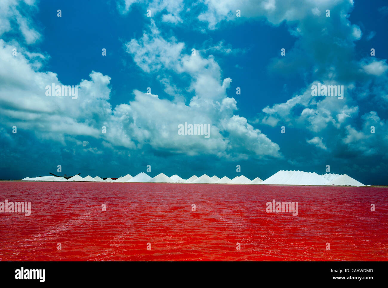Vue sur le lac de sel rouge contre ciel nuageux ciel bleu, Bonaire, Antilles Pays-Bas Banque D'Images