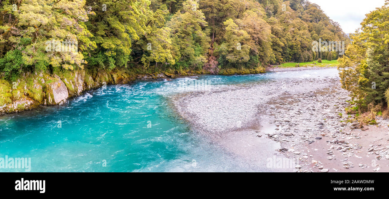 Makarora River, South Island, New Zealand Banque D'Images