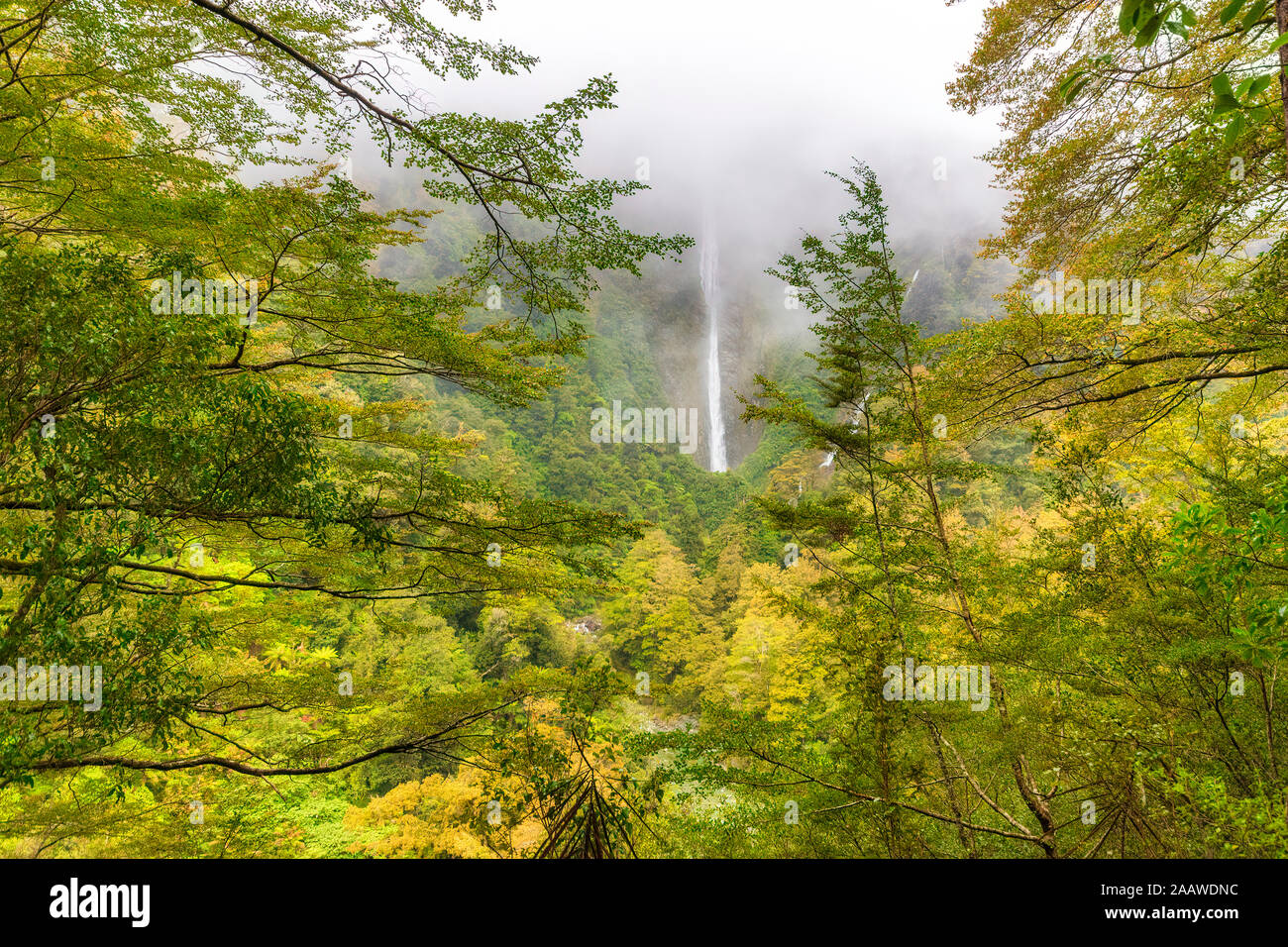 Humboldt Falls, Parc National de Fiordland, île du Sud, Nouvelle-Zélande Banque D'Images