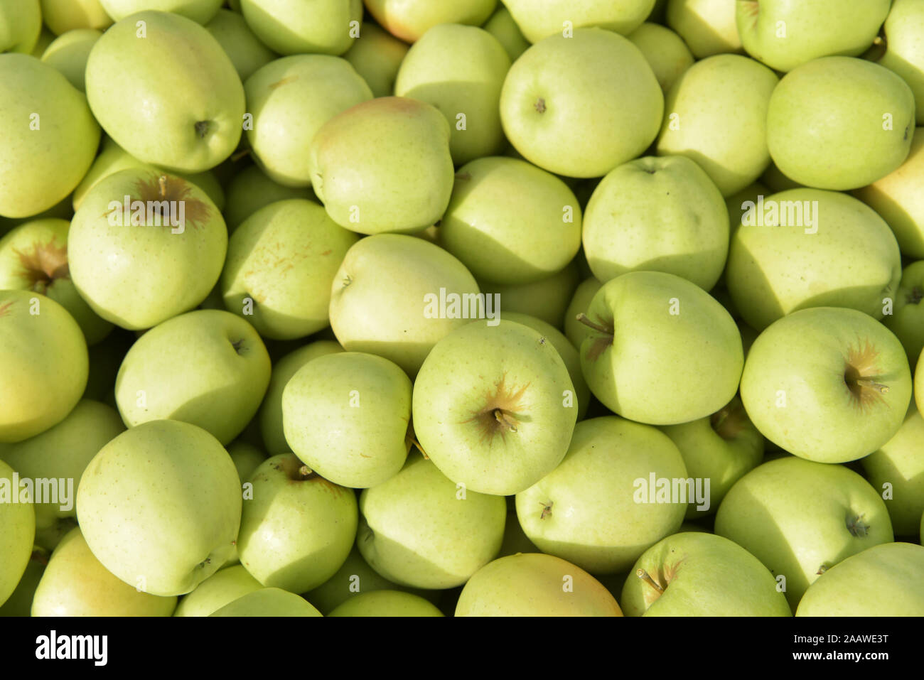 Les pommes récoltées fraîches, d'en haut Banque D'Images