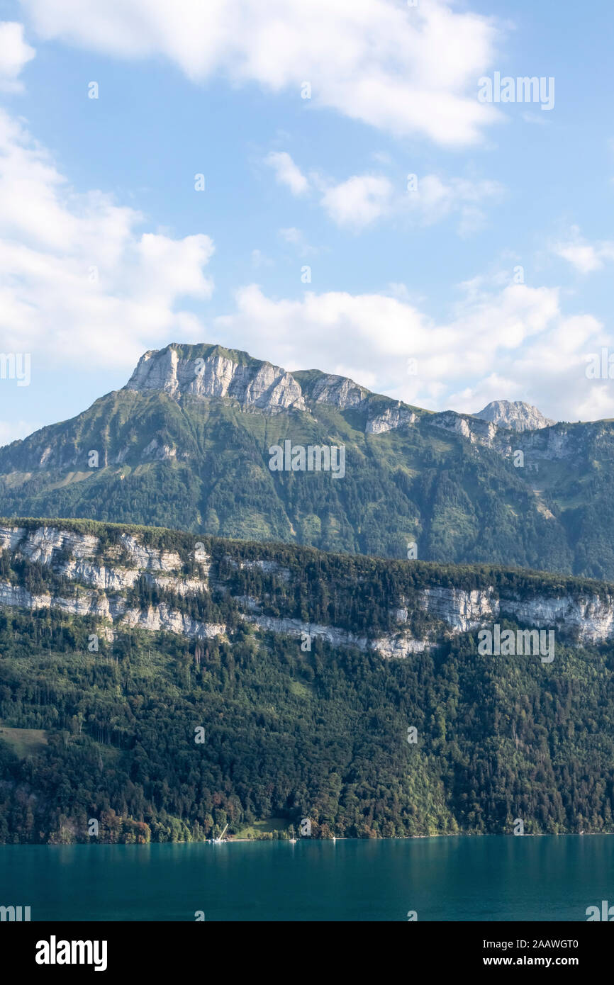 La Suisse, Lucerne, Schwyz, vue panoramique sur la haute falaise boisée en été Banque D'Images