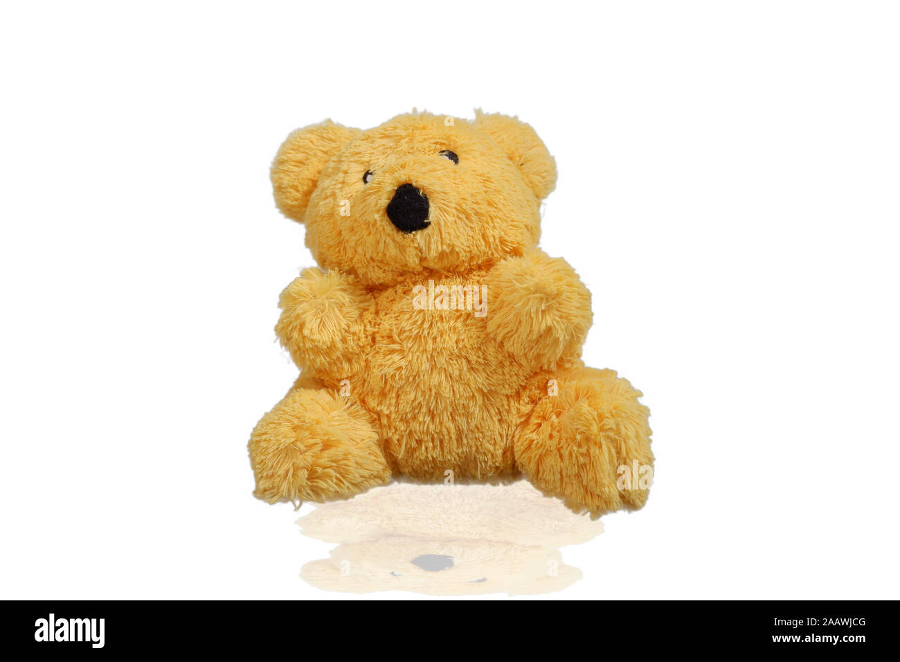Mignon ours isolé sur un fond blanc lumineux avec réflexion assise sur un ours brun Ours blanc incliner farcies dans un fond blanc Banque D'Images