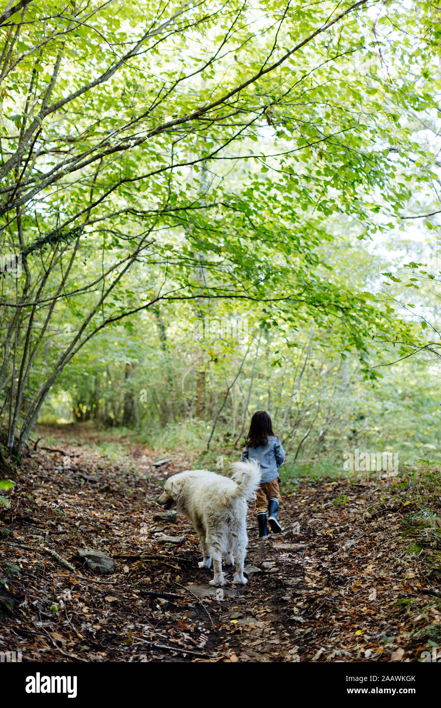 Vue arrière de l'enfant avec chien dans la forêt Banque D'Images