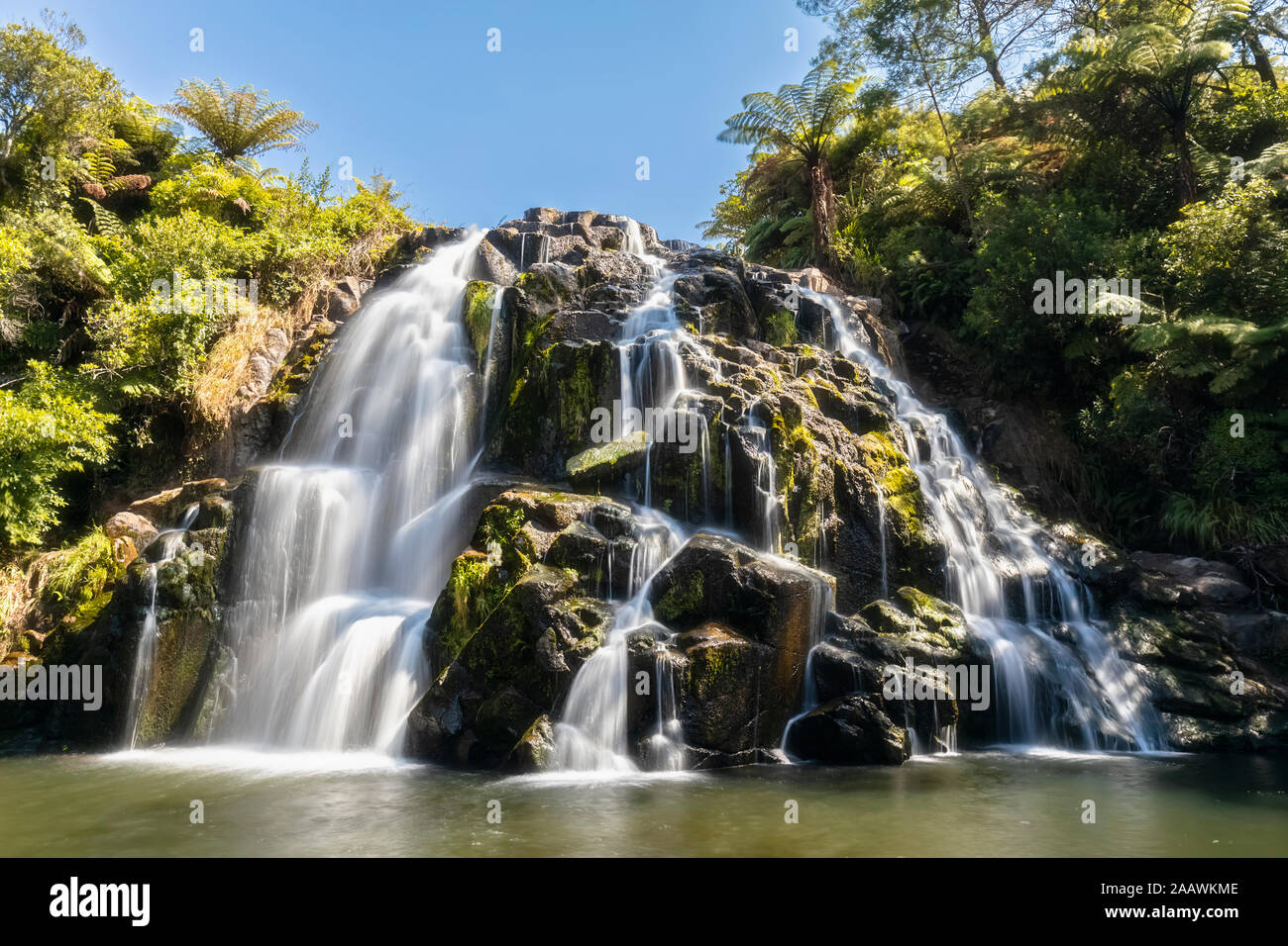 Nouvelle Zélande, île du Nord, Waikato, Waikino, vue panoramique sur Owharoa Falls Banque D'Images