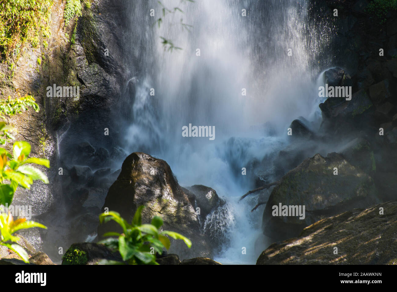 Vue de Trafalgar Falls éclaboussures sur les rochers dans le parc national de Morne Trois Pitons, Dominique Banque D'Images