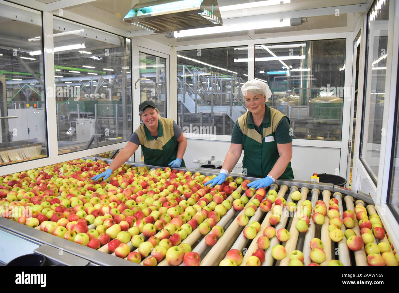 Les travailleurs de sexe féminin contrôle de pommes sur convoyeur à bande dans l'usine de jus de pomme Banque D'Images