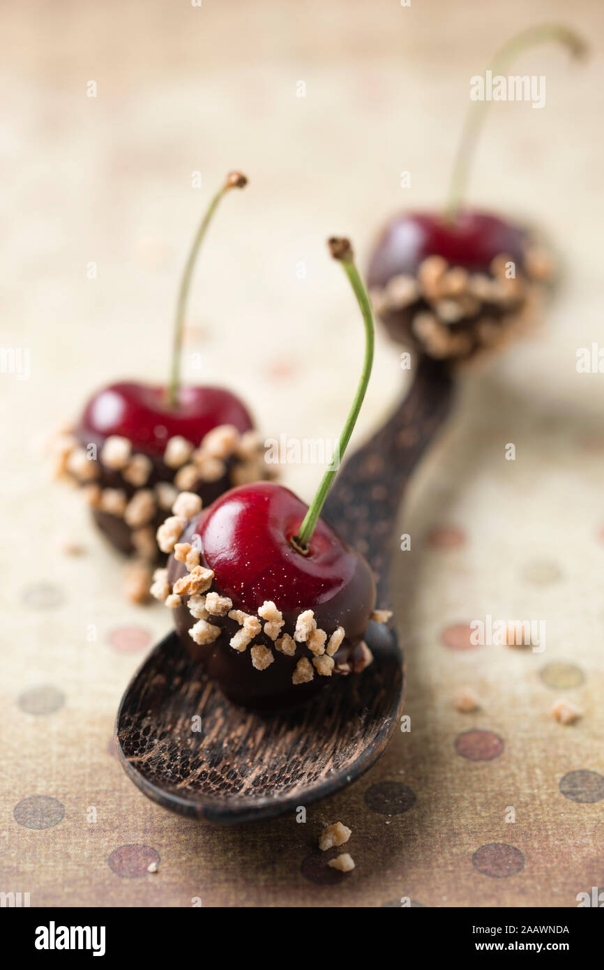 Close-up de cerises recouvert de chocolat et noisettes cassantes sur spoon Banque D'Images