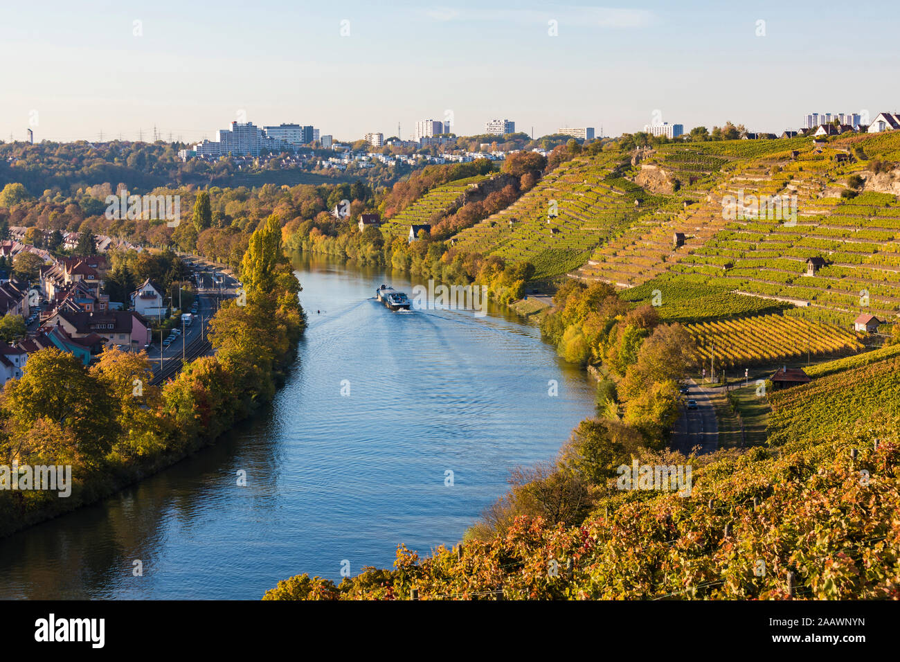 Vignoble en Neckar en ville, Stuttgart, Bade-Wurtemberg, Allemagne Banque D'Images