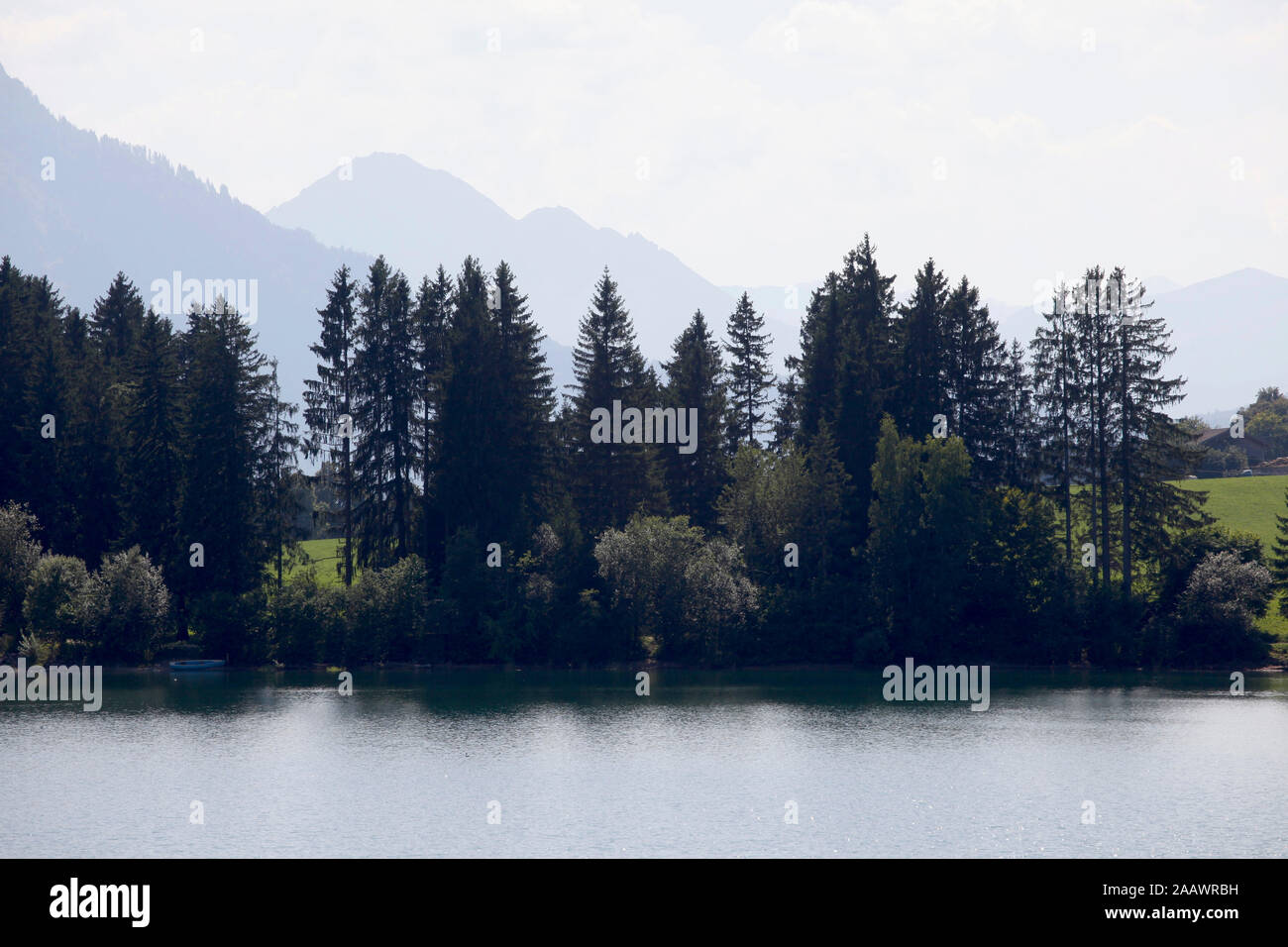 Vue panoramique sur le lac de Forggensee contre ciel lors de journée ensoleillée à l'Ostallgäu, Allemagne Banque D'Images