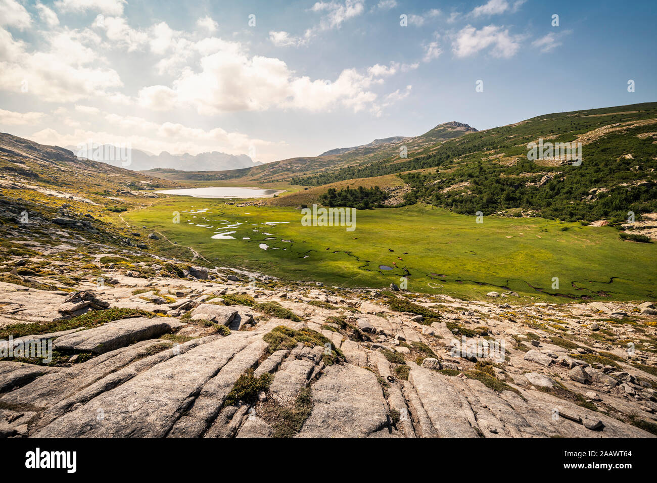 Haut plateau près du lac de Nino, d'Albertacce, Corse, France Banque D'Images