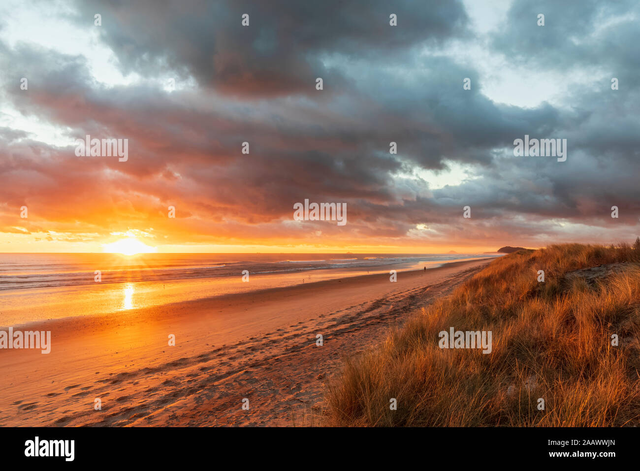 Nouvelle Zélande, île du Nord, Waikato, Waihi Beach, vue panoramique de plage au coucher du soleil Banque D'Images