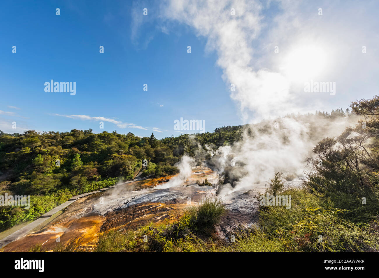 La terrasse, parc géothermique Orakei Korako, zone volcanique de Taupo, île du Nord, Nouvelle-Zélande Banque D'Images