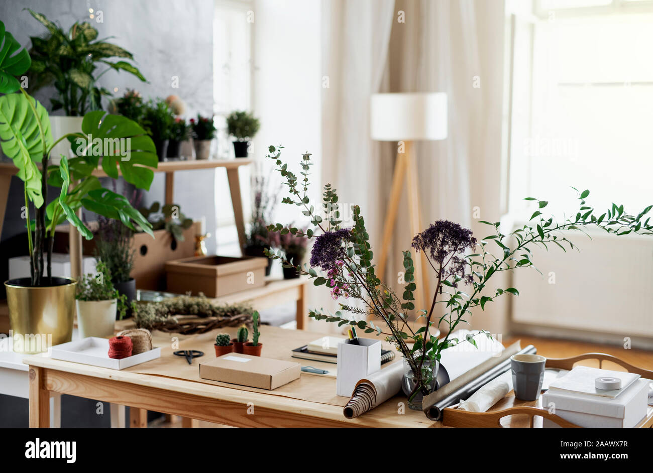 Les plantes en pots et accessoires sur table Banque D'Images