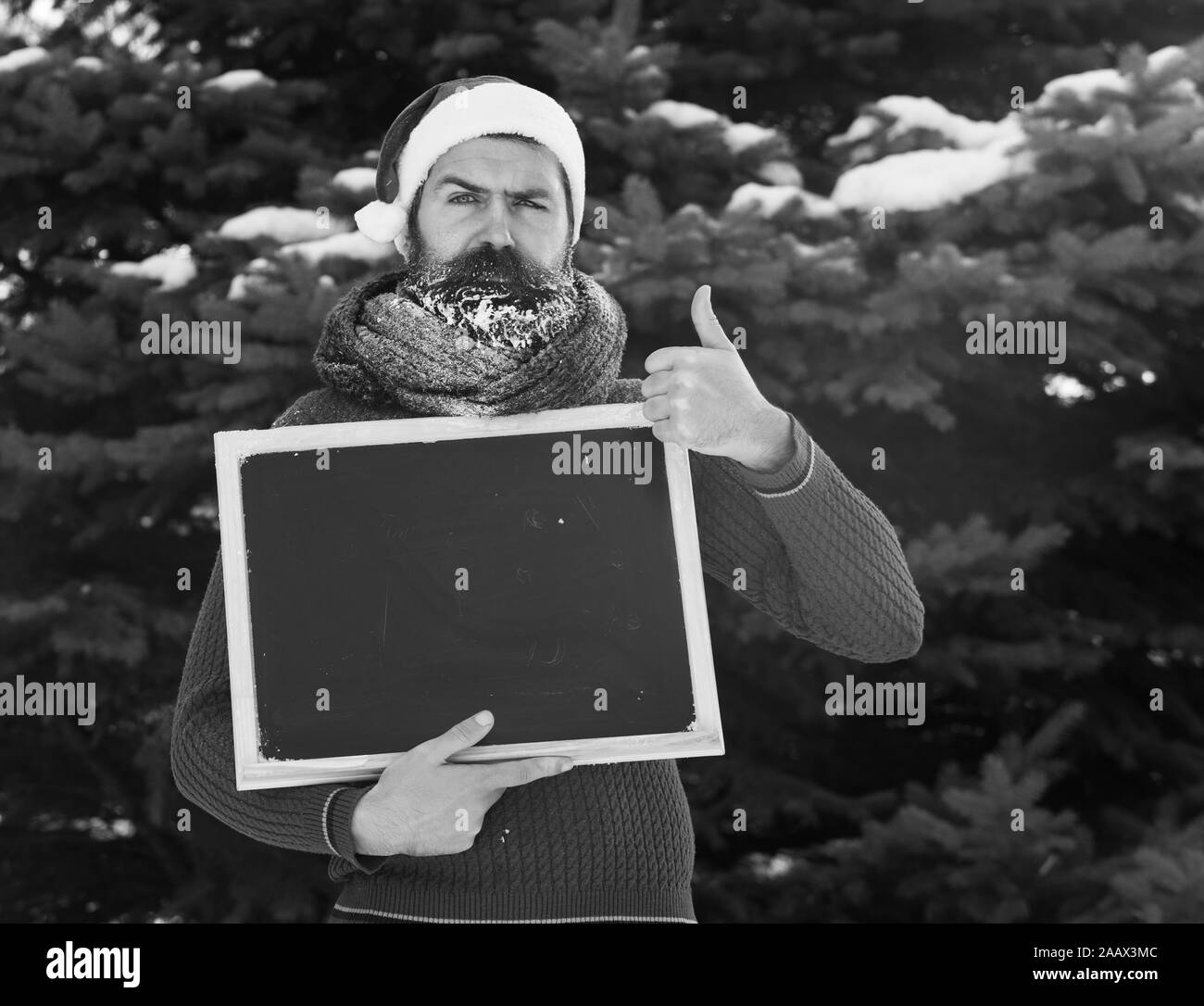 L'homme fronce dans santa claus hat, hipster avec barbe et moustache recouverte de givre, avec tableau noir ou tableau blanc donne Thumbs up geste sur journée d'hiver sur fond naturel, copy space Banque D'Images L'homme fronce dans santa claus hat, hipster avec barbe et moustache recouverte de givre, avec tableau noir ou tableau blanc donne Thumbs up geste sur journée d'hiver sur fond naturel, copy space Banque D'Images