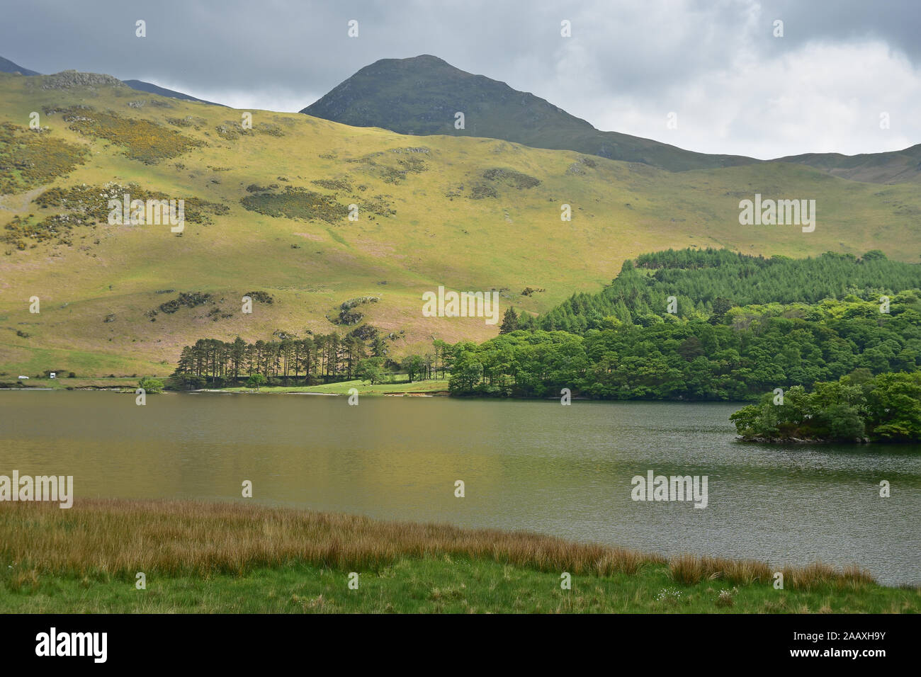 Extrémité sud de Crummock Water, Cumbria Banque D'Images