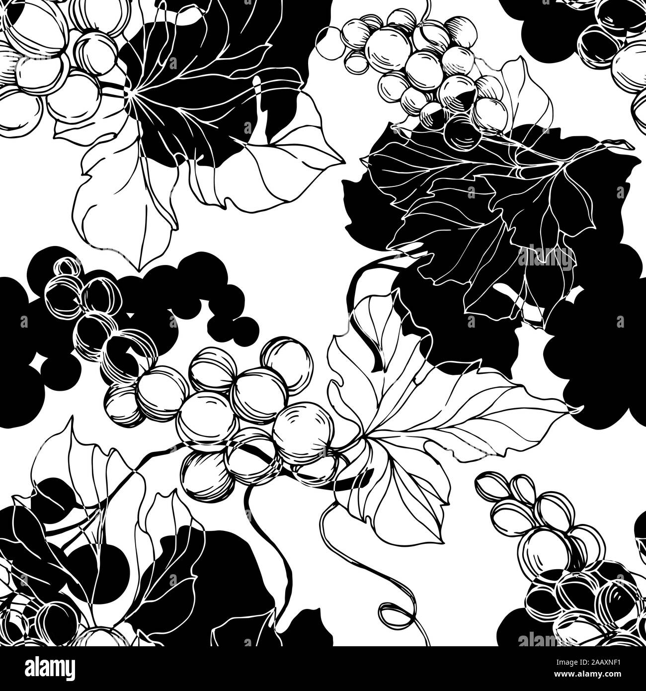 Raisin d'art Banque d'images noir et blanc - Page 3 - Alamy