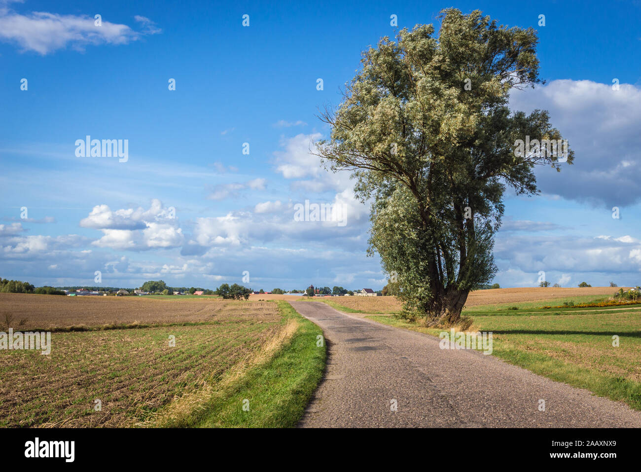 Route de campagne et Zwiniarz village à Ilawa Comté de Warmian-Masurian Voivodeship du nord de la Pologne Banque D'Images Route de campagne et Zwiniarz village à Ilawa Comté de Warmian-Masurian Voivodeship du nord de la Pologne Banque D'Images