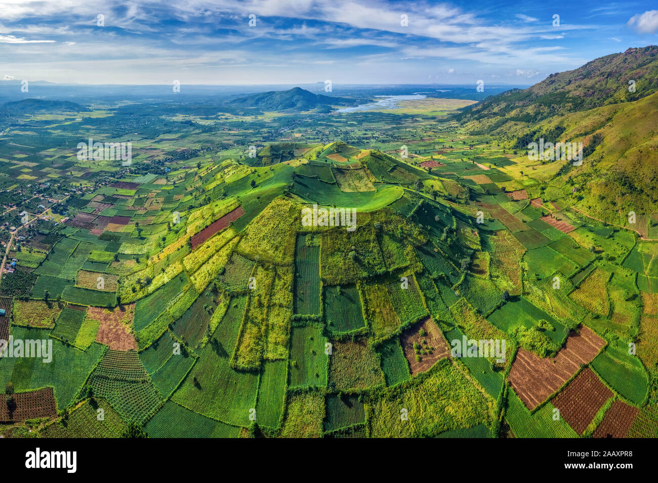 Vue aérienne de la montagne du volcan Chu Dang Ya avec la fleur de Da Quy ou la fleur de Tithonia diversifolia près de la ville de Pleiku, province de Gia Lai, Vietnam. Chu DangYa Banque D'Images