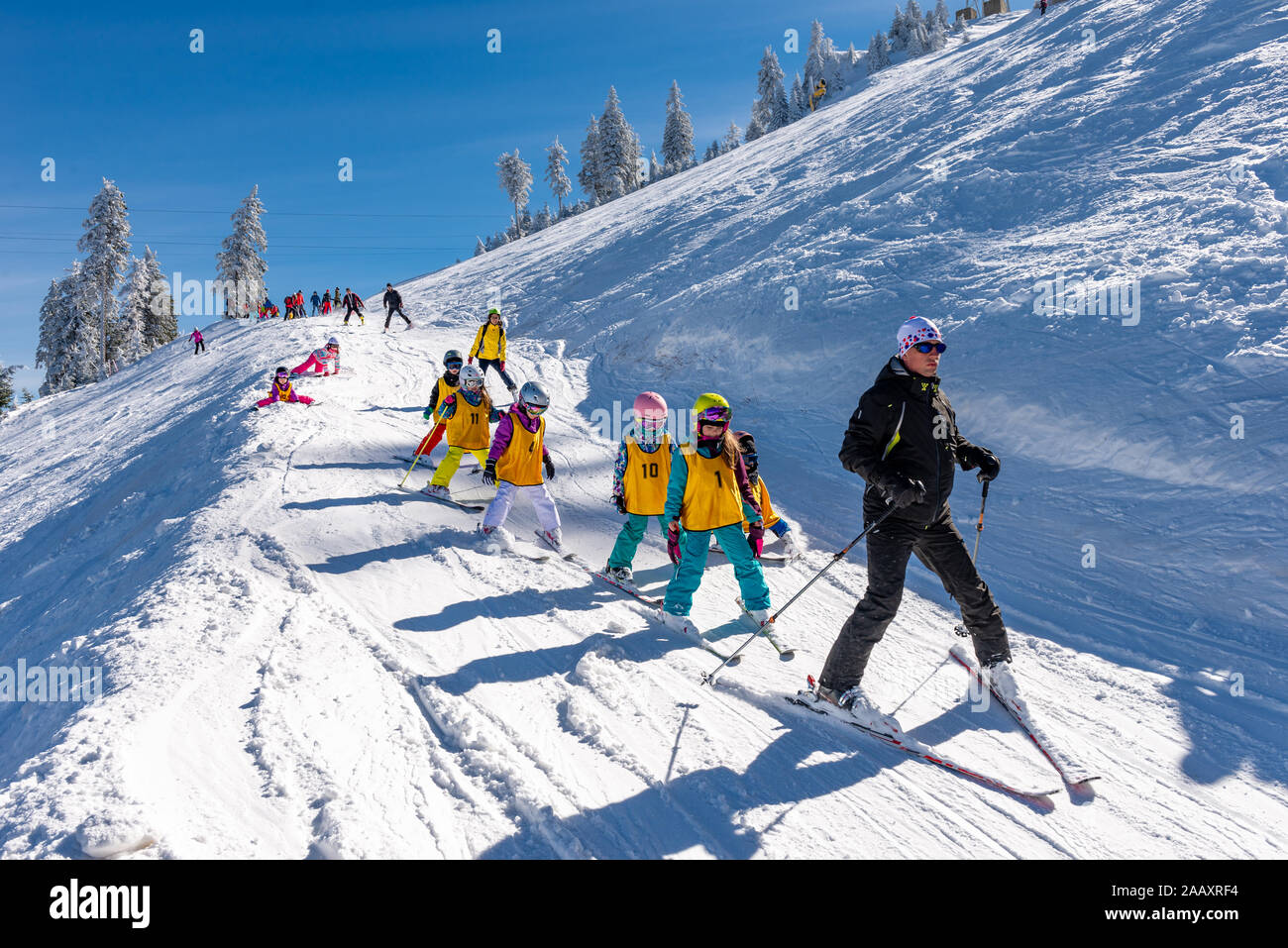 Brasov, Roumanie - 10 décembre 2018 : Groupe d'enfants avec moniteur de ski sur la pente d'une journée ensoleillée en Poiana Brasov resort Banque D'Images