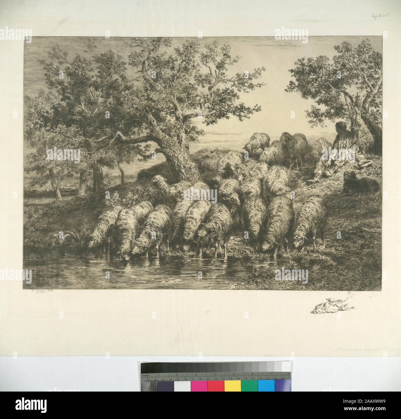 Troupeau de moutons au bord de l'eau, berger et chien assis derrière titres conçus par cataloger. Holdings annotées dans les copie de l'Oeuvre de Ch. Jacque catalogue de ses eaux-fortes et pointes sèches. Citation/Référence : [SuppA255] ; troupeau de moutons au bord de l'eau, berger et chien assis derrière. Banque D'Images