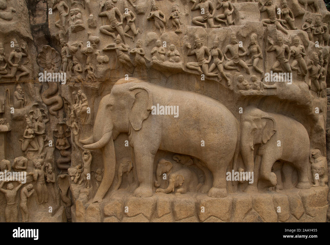 La pénitence d'Arjuna - La célèbre architecture de pierre monolithique de Mahabalipuram (Inde) Banque D'Images