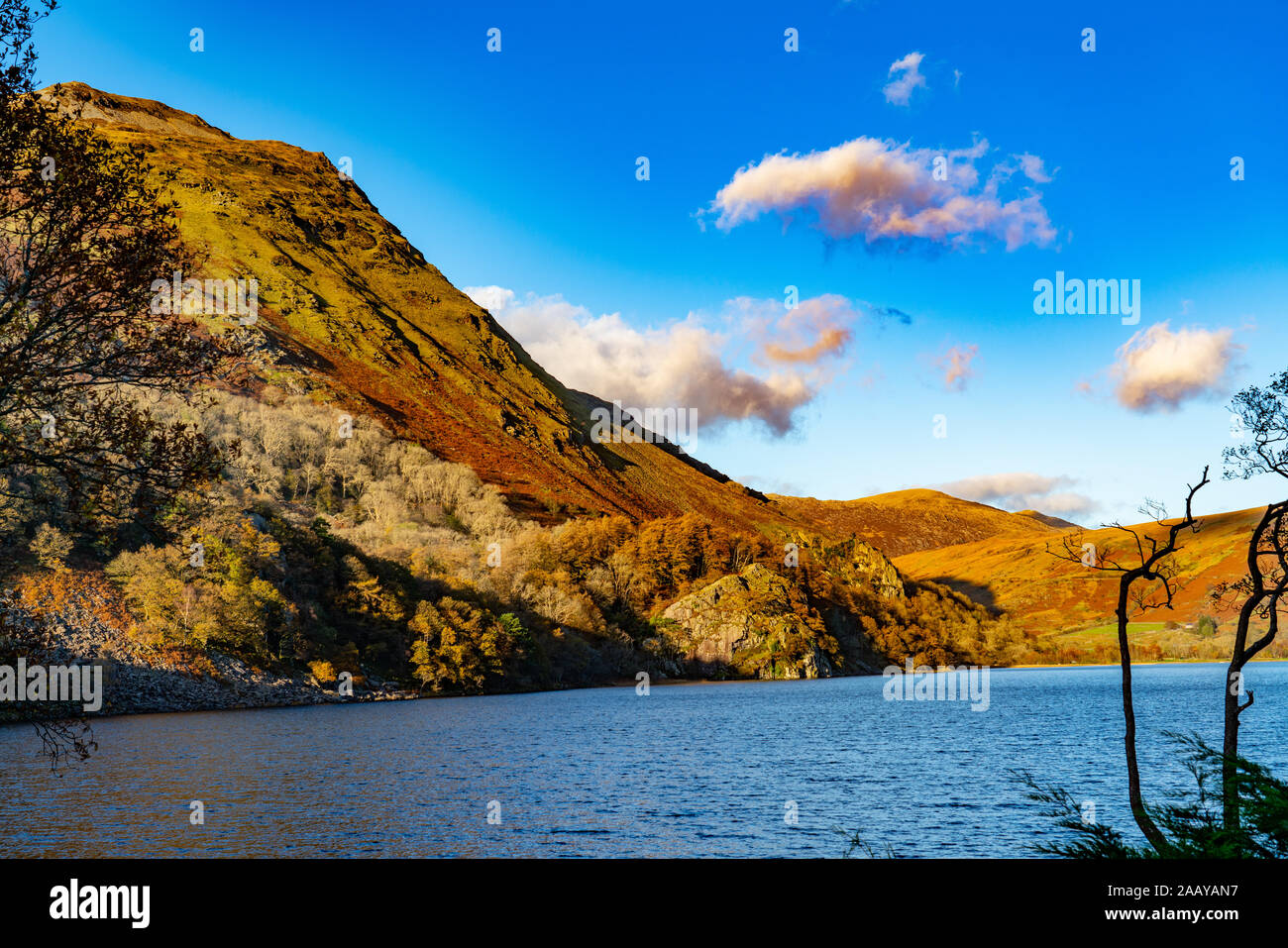 Llyn Gwynant, près de Gwynedd, Beddgelert, au nord du Pays de Galles. Ce lac est au pied de Snowdon, mais Snowdon n'est pas dans le cadre. Image prise en novembre 2019. Banque D'Images